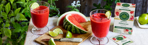 Frozen Watermelon Hibiscus Daquiri in a glass with Traditional Medicinals organic Hibiscus tea box