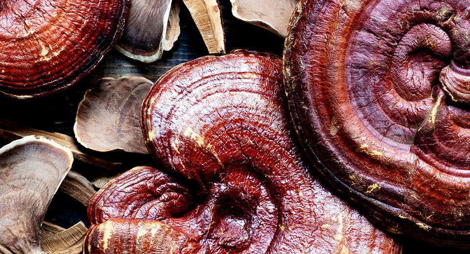 Whole and sliced reishi mushroom