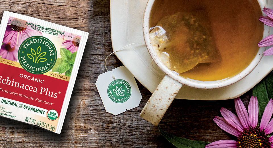 Echinacea Plus tea packet and brewed cup of tea with echinacea flowers on table