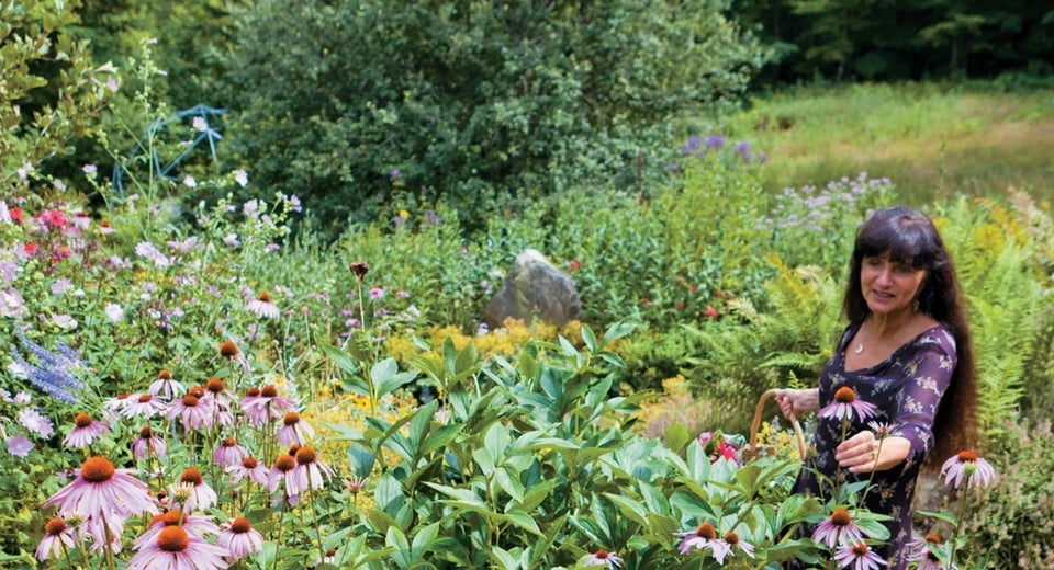 Rosemary Gladstar in garden with echinacea flowers