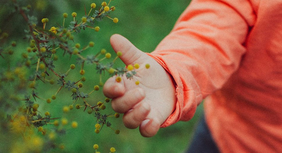 Connecting Children with Nature