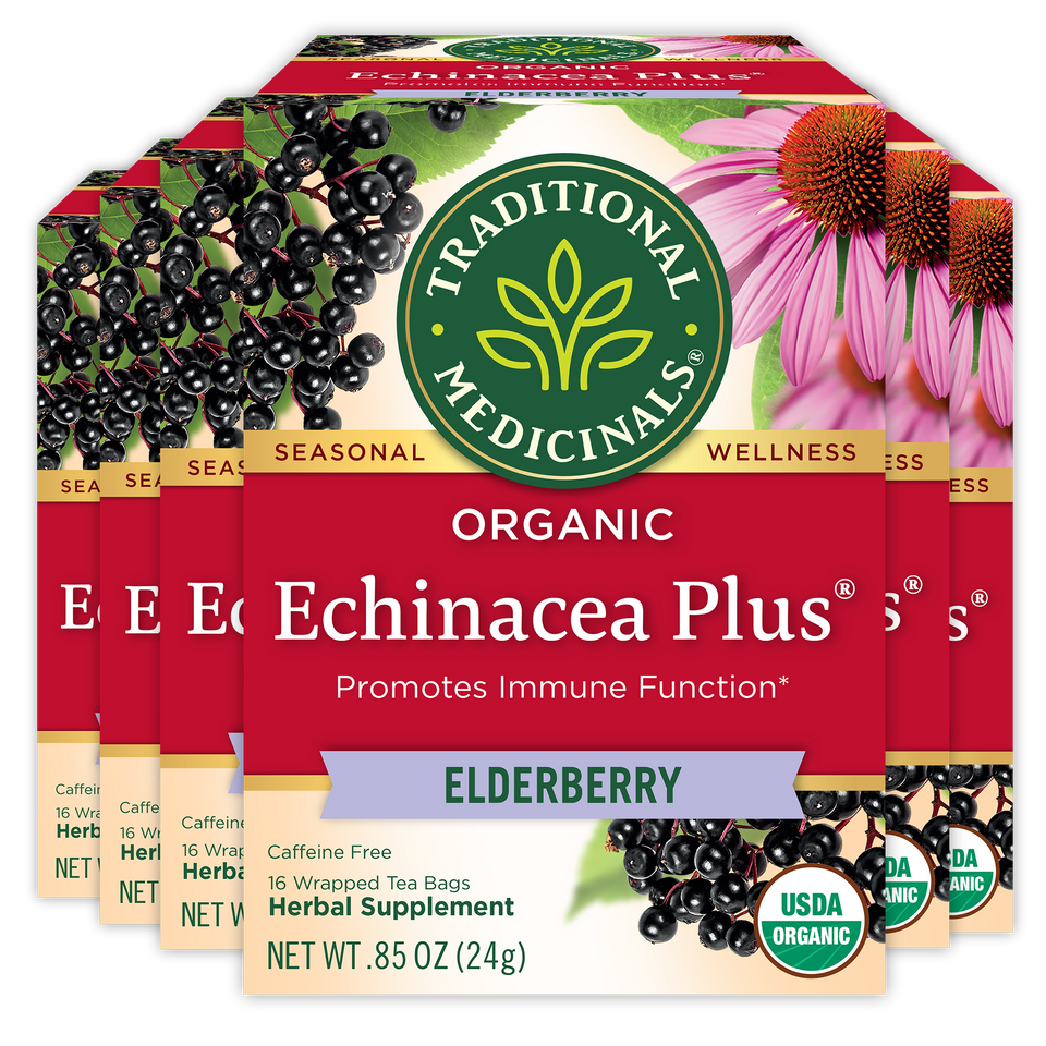 Echinacea Plus® Elderberry Tea