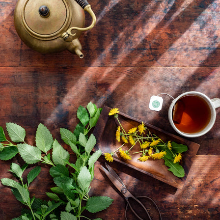 Herbal tea arrangement: teapot, cup of Dandelion Leaf & Root Tea, fresh leaves, vivid yellow blossoms for promoting healthy digestion, and scissors on a wooden table.