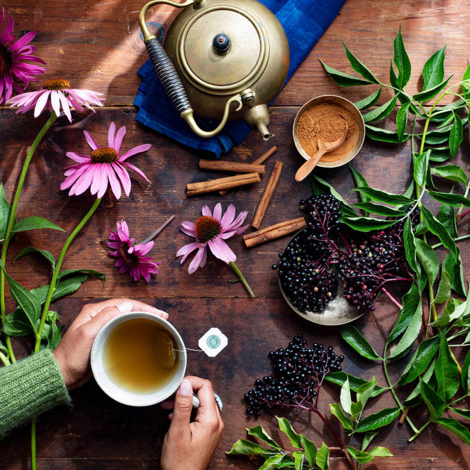 A rustic table set with a brass teapot, a steaming cup of Echinacea Plus® Elderberry Tea, vibrant echinacea flowers, cinnamon sticks, and elderberries captures the essence of this nourishing blend. This serene arrangement is crafted to naturally support and nourish the immune system.