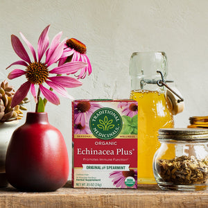 A box of Echinacea Plus® Tea, adorned with an illustration of an echinacea flower in a vase, rests amid herbal jars and honey on a wooden surface, supporting your immune system.