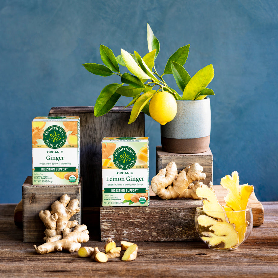 Boxes of Ginger Tea, highlighting organic ginger root and fresh lemon, are elegantly arranged beside a potted lemon tree on wooden blocks against a calming blue background, providing a delightful blend that supports healthy digestion.