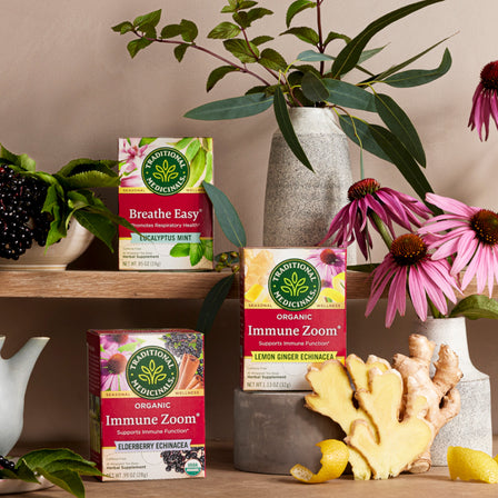 Immune Zoom® Lemon Ginger Echinacea Tea boxes nestled amidst lush greenery, fragrant ginger, and vibrant flowers create a serene display. These blends are infused with lemon ginger and echinacea to naturally support your immune system.