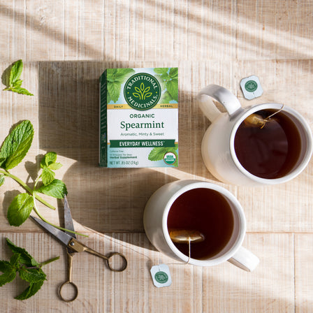 Two mugs of Spearmint Tea brewed from herbal tea bags, a box of healthy Spearmint Tea, fresh mint, and scissors on a wooden table create the perfect refreshing beverage scene.