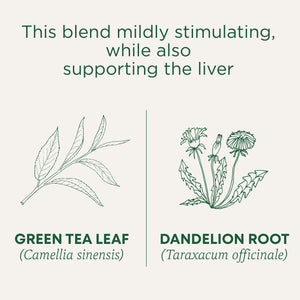 This blend mildly stimulating, while also supporting the liver. Green Tea Leaf (Camellia sinensis). Dandelion Root (Taraxacum officinale)