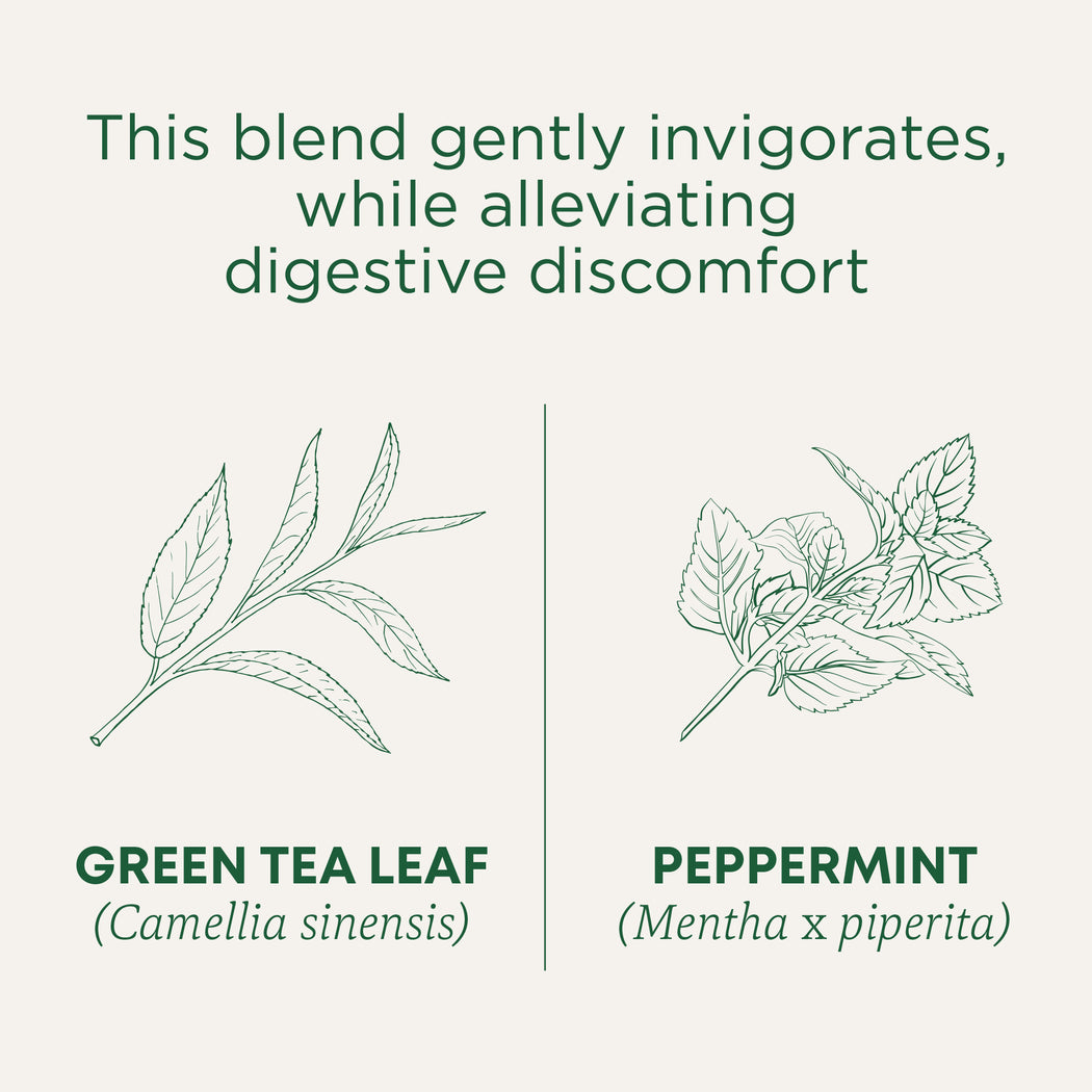 Organic Green Tea Peppermint | Traditional Medicinals